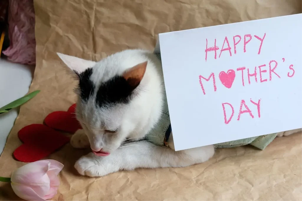 happy mothers day cat - funny cat with letter