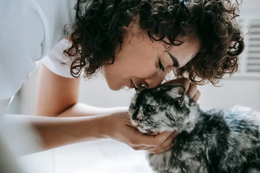 why cats are the best pets - cat with woman