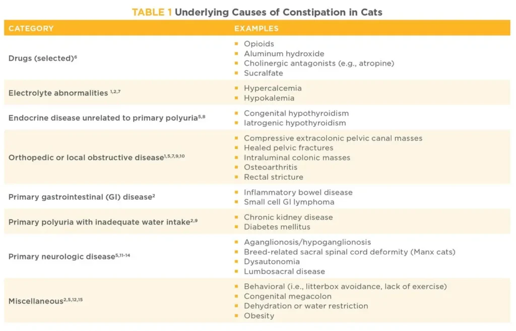 low residue diet for cats - causes of constipation