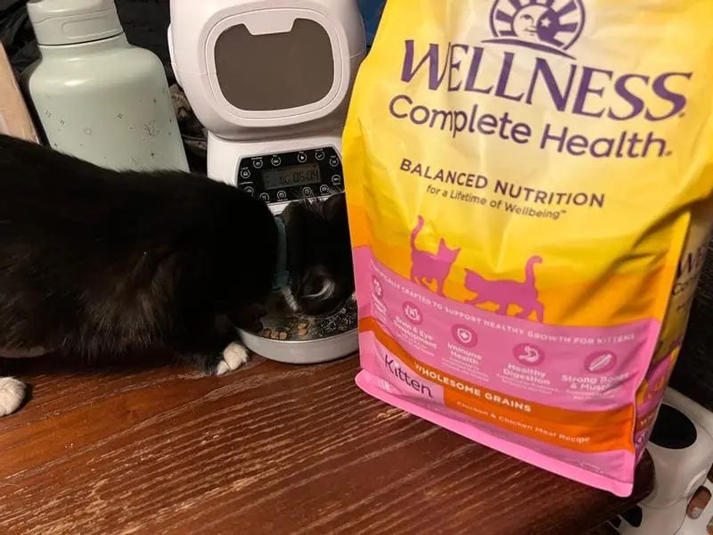 wellness kitten food - balanced nutrition product