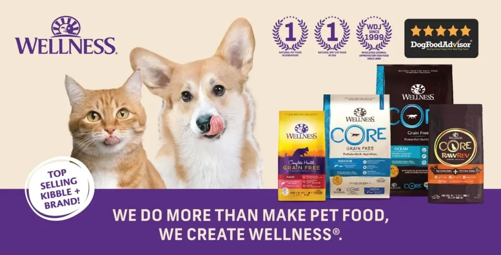 wellness kitten food - kibble food