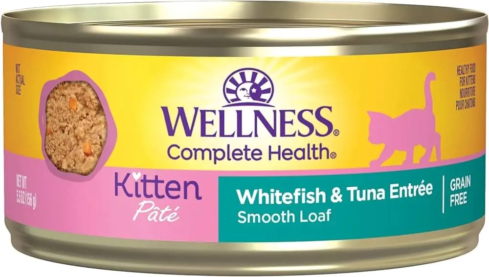 wellness kitten food - wellness complete health