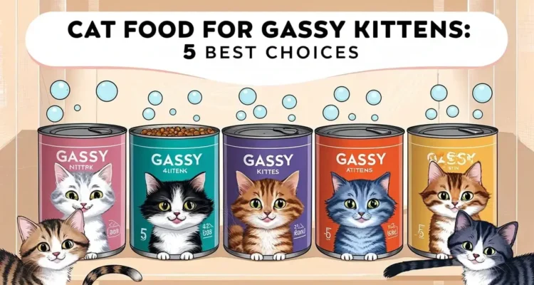 cat food for gassy kittens