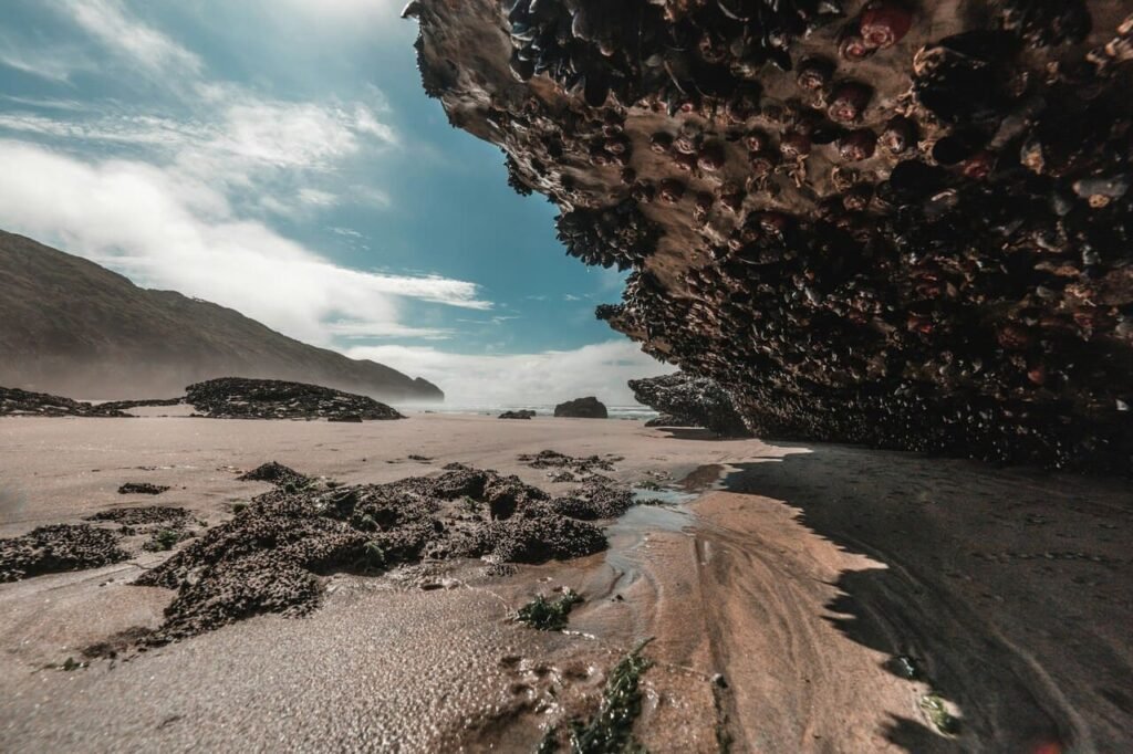 Travel to New Zealand - Farewell Spit