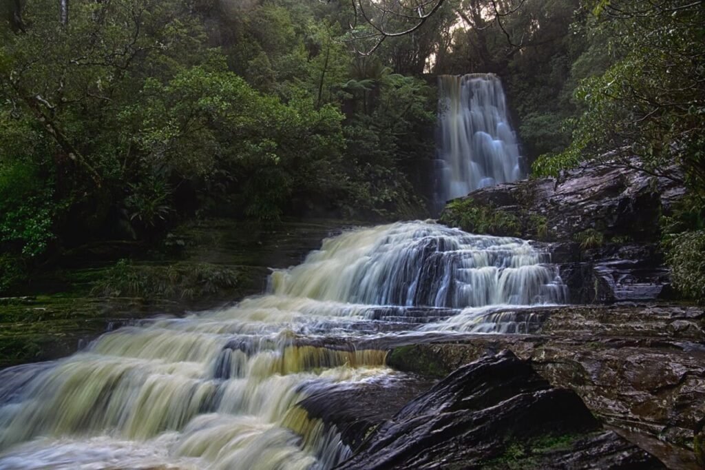 Travel to New Zealand - The Catlins