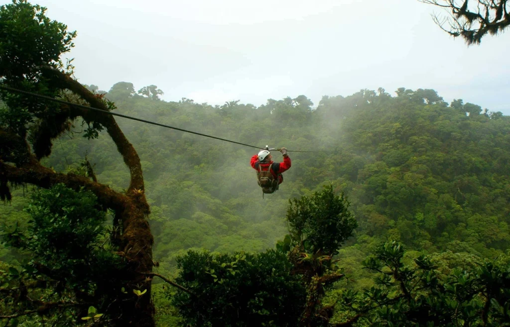 Best activities for every type of traveler